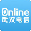 武汉电信online