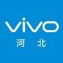 vivo河北微信公众号_微信公众号大全