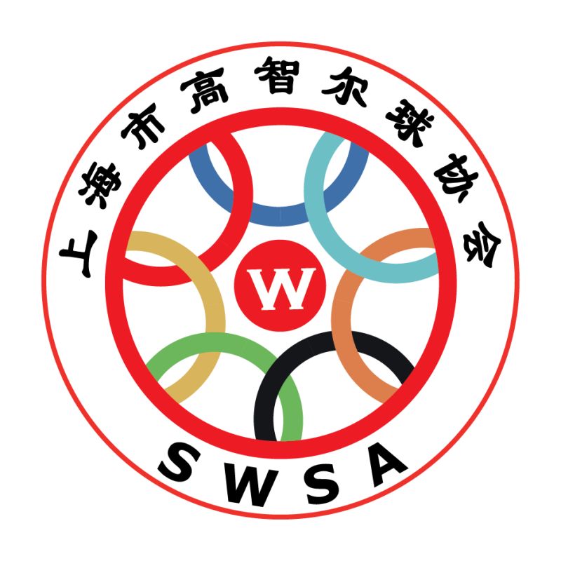 上海高智尔球wiser球运动